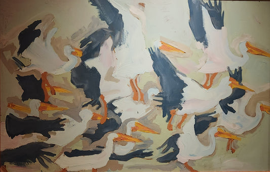 Ocean Birds